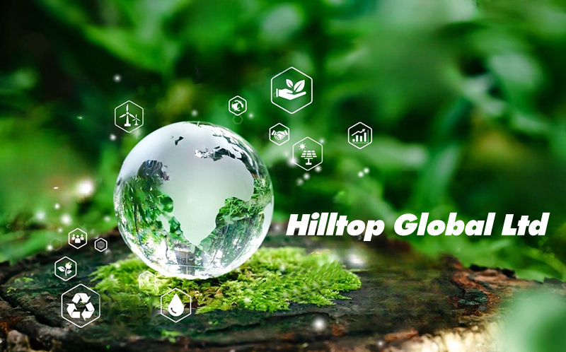Hilltop Global Ltd